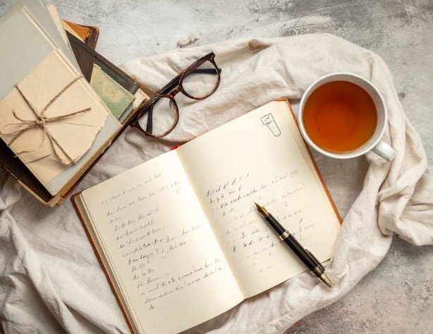 Chris Alcazar-architecte-des-mots-relecture-correction-Alpha-lecture