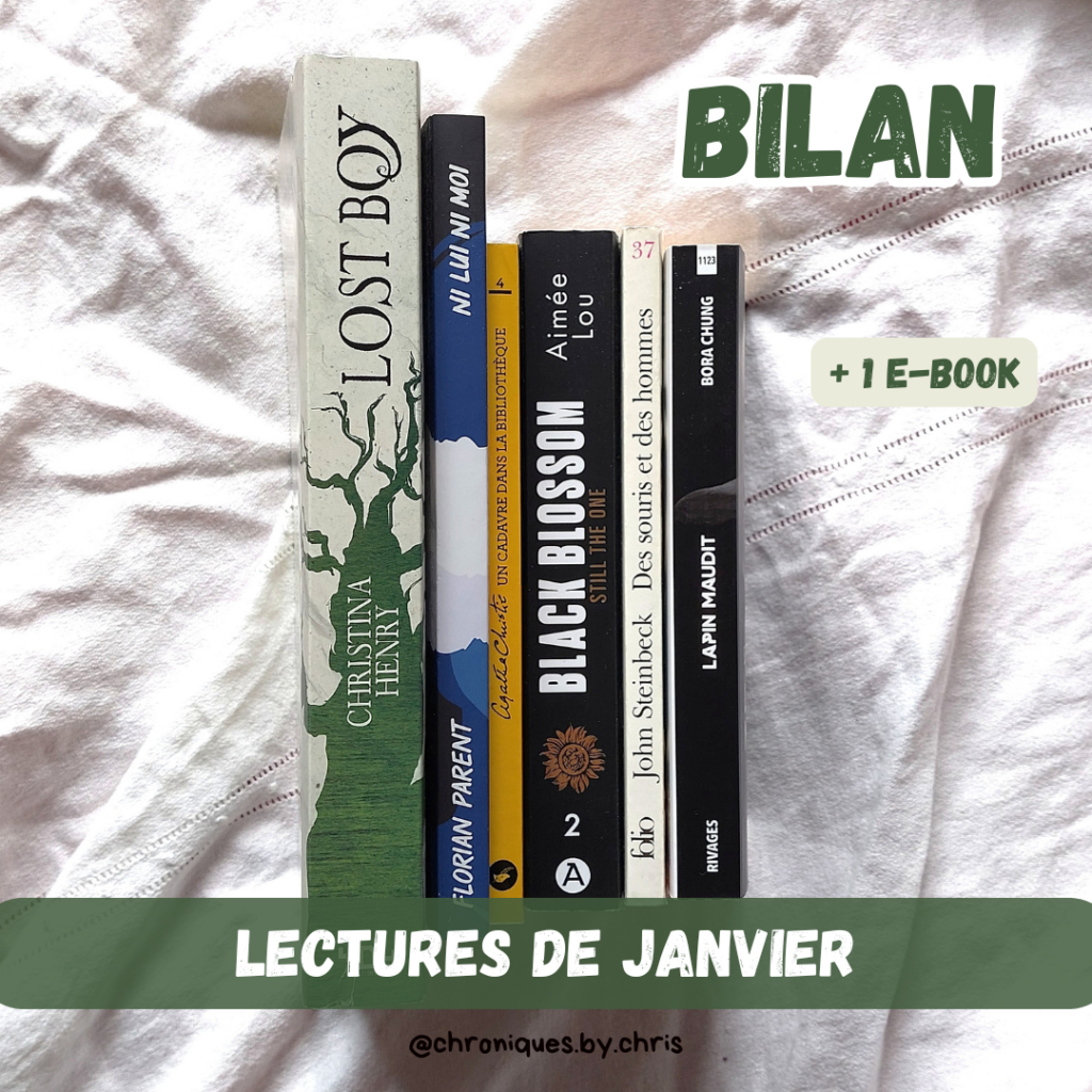 couv Bilan lecture janvier 2026 chris alcazar relecture et correction