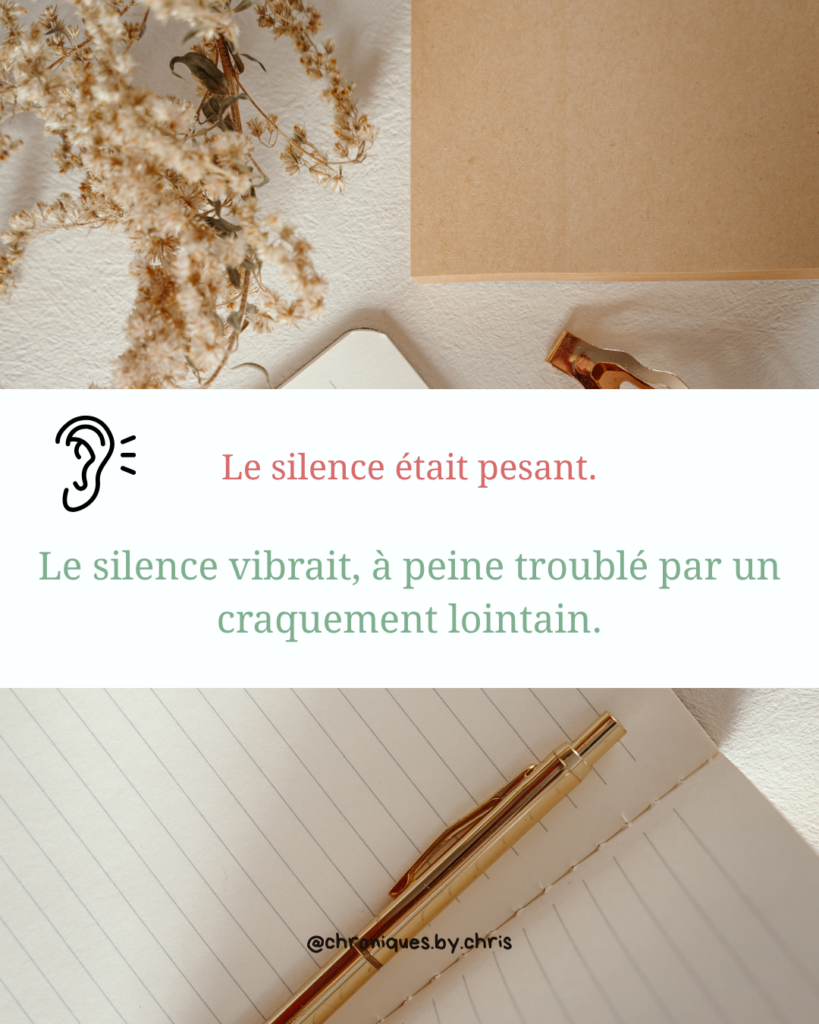 Chris Alcazar relecture correction maquette roman astuce écriture show dont tell (3)