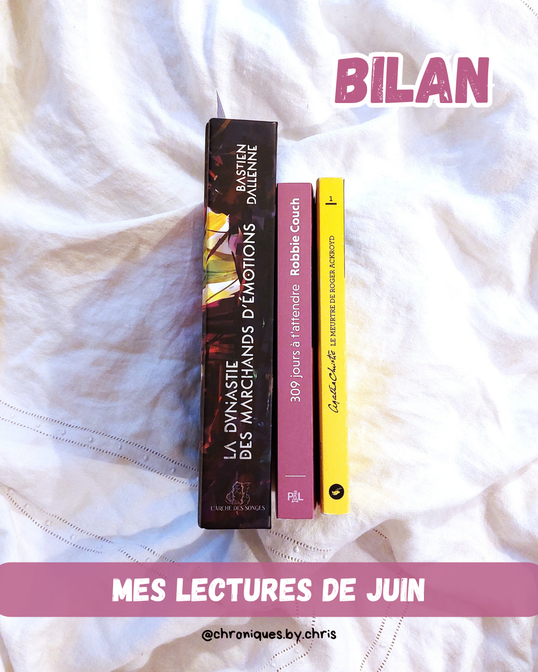 couv Bilan lecture juin 2026 chris alcazar relecture et correction